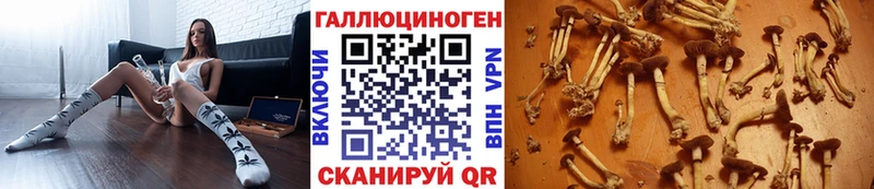 Галлюциногенные грибы мухоморы  где купить наркотик  Шилка 